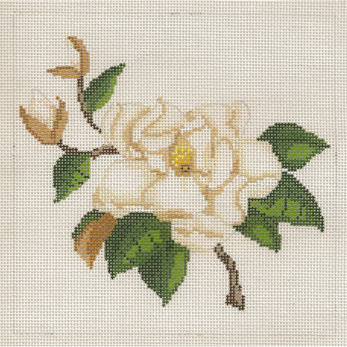 Southern Magnolia Canvas