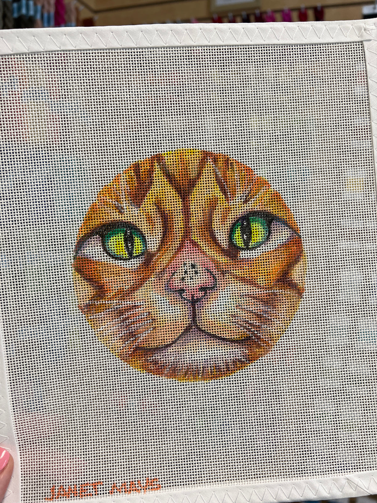 Orange Cat Canvas