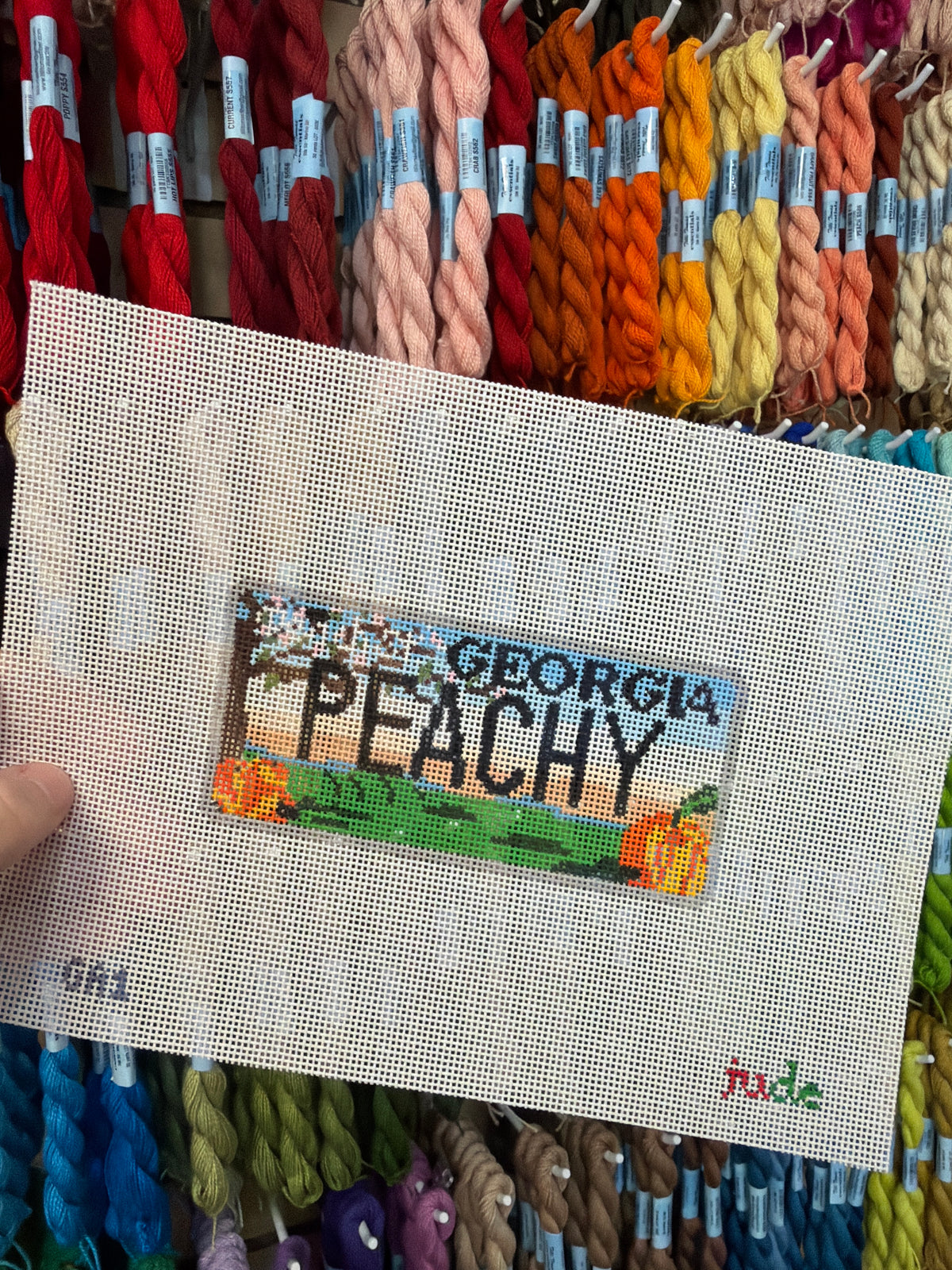 Georgia License Plate (Peachy) Canvas