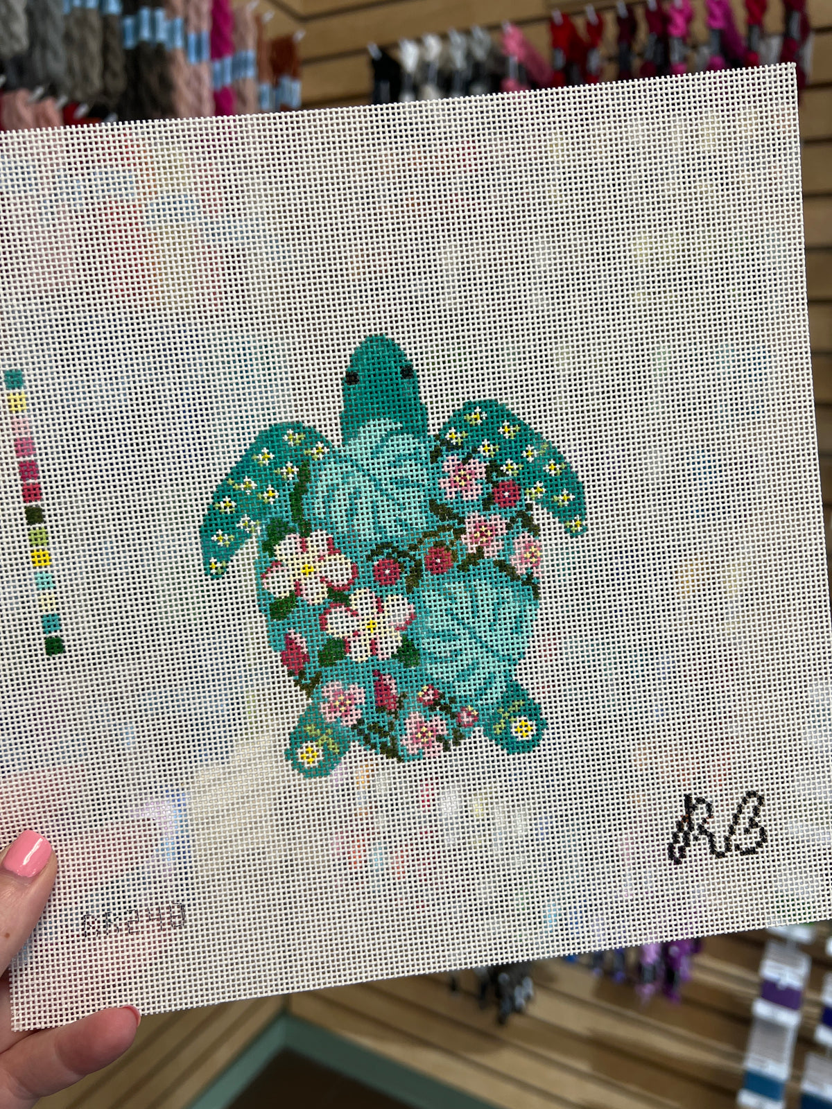 Tilly the Turtle Canvas
