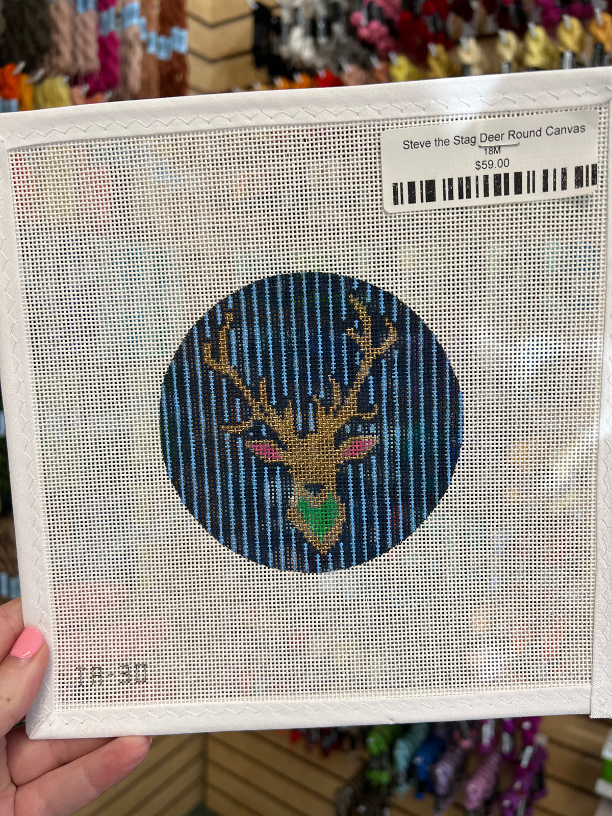Steve the Stag Deer Round Canvas