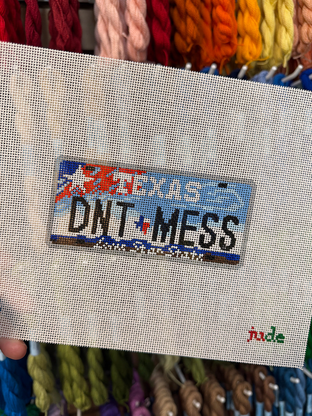 Texas License Plate (DNT MESS) Canvas