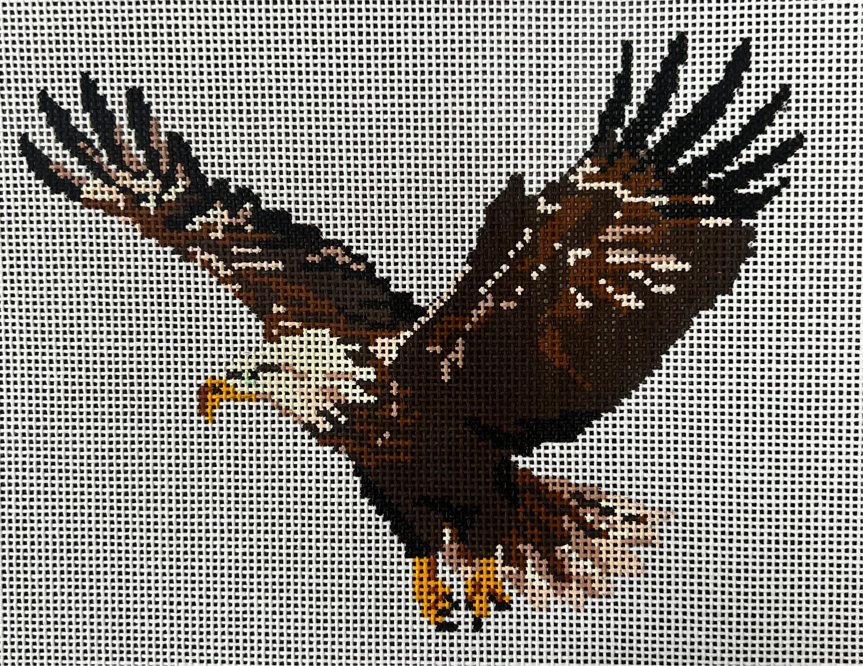 Bald Eagle Canvas
