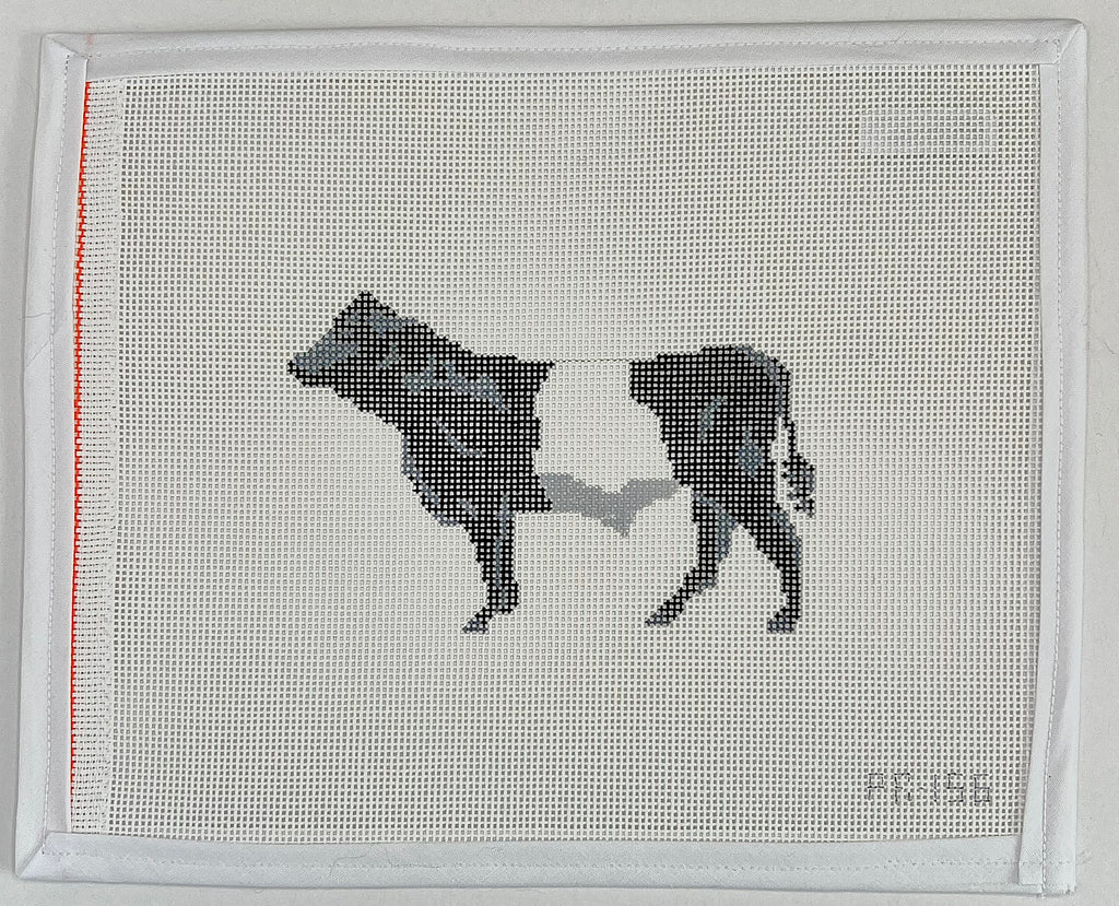 Belted Galloway Cow Canvas