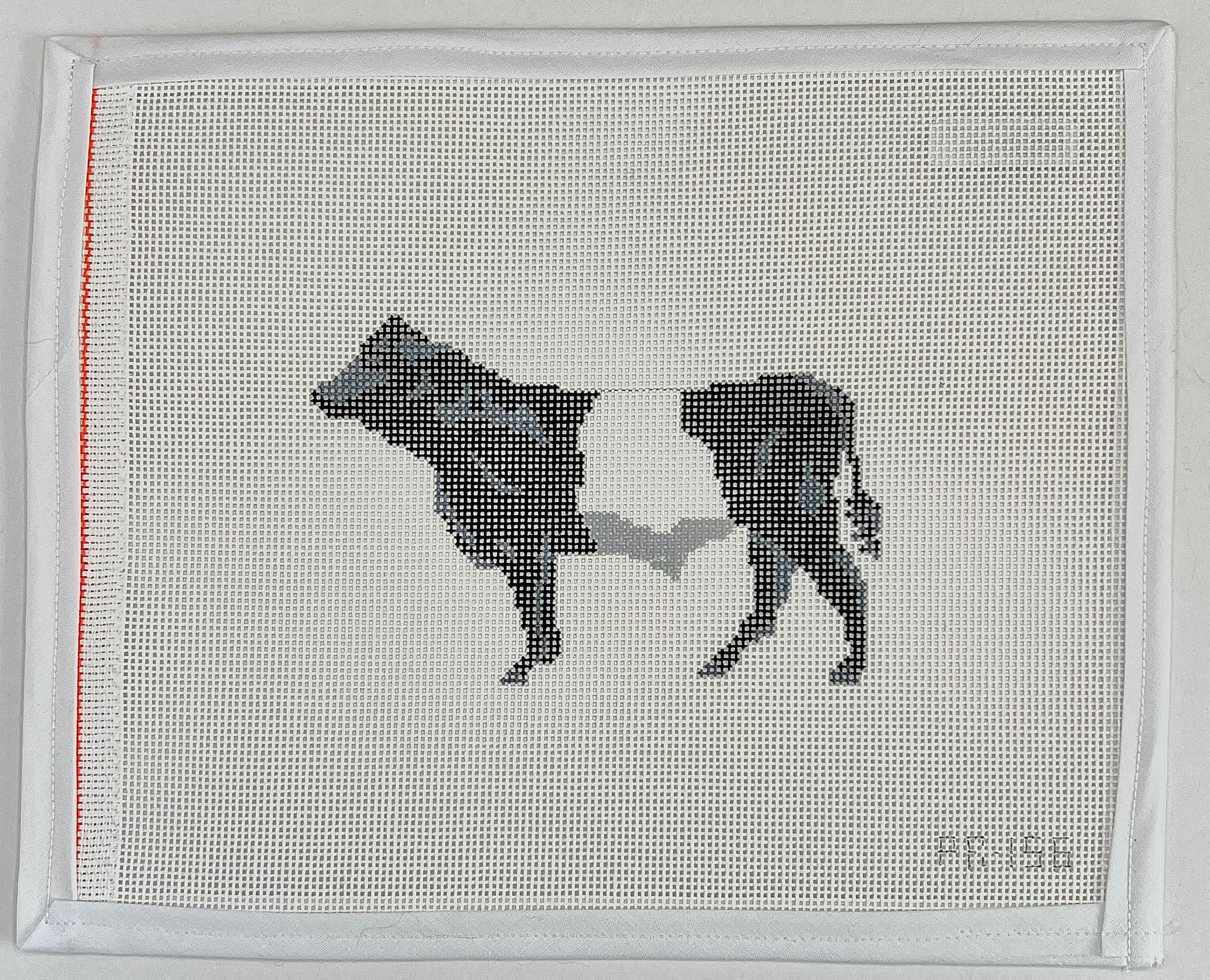 Belted Galloway Cow Canvas