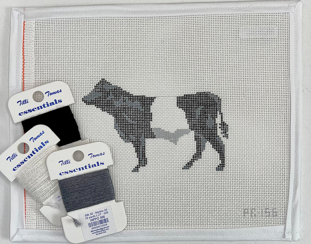 Belted Galloway Cow Canvas