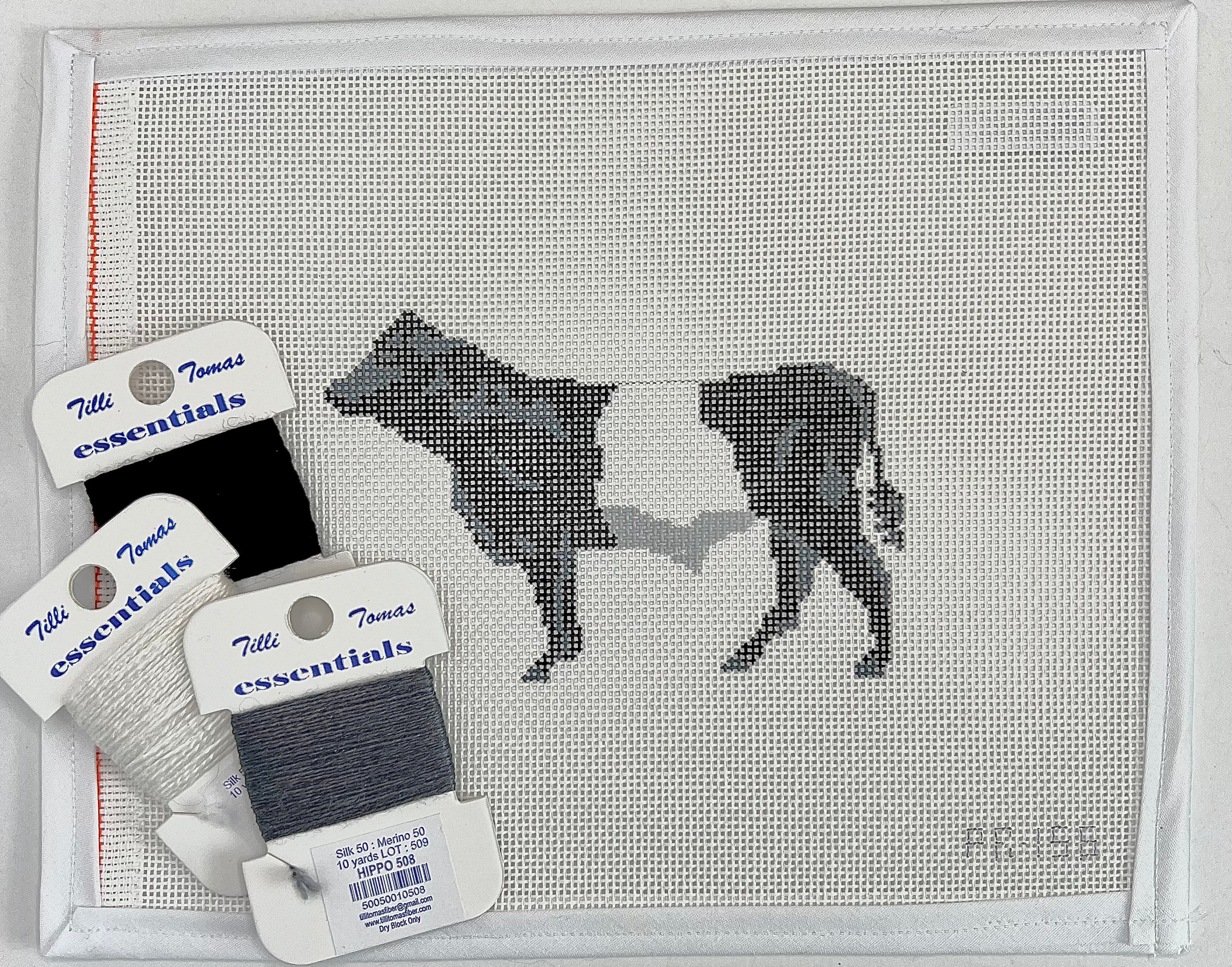 Belted Galloway Cow Canvas