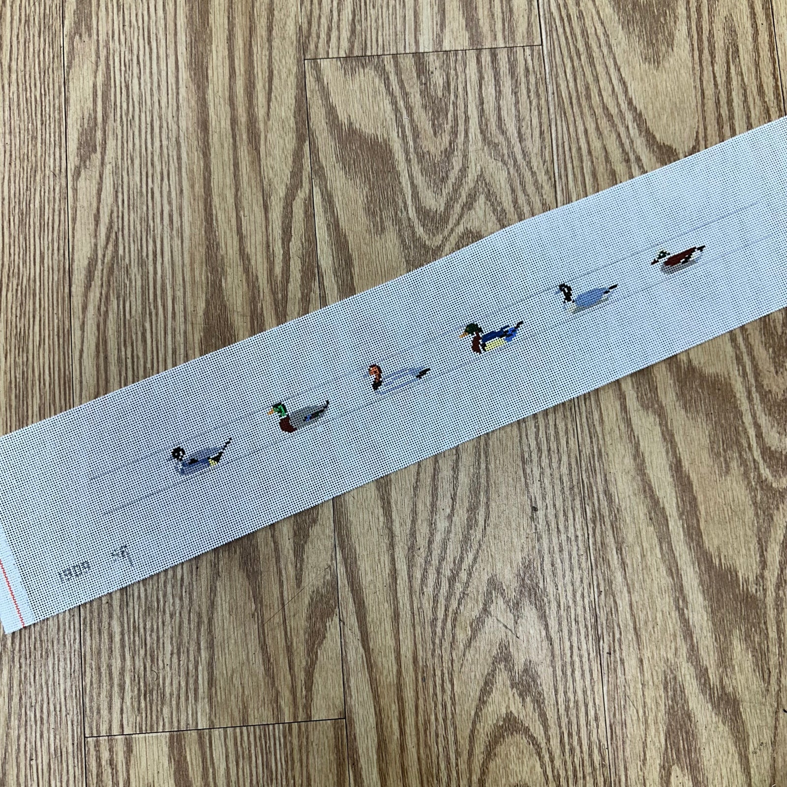 Ducks Dog Collar Canvas