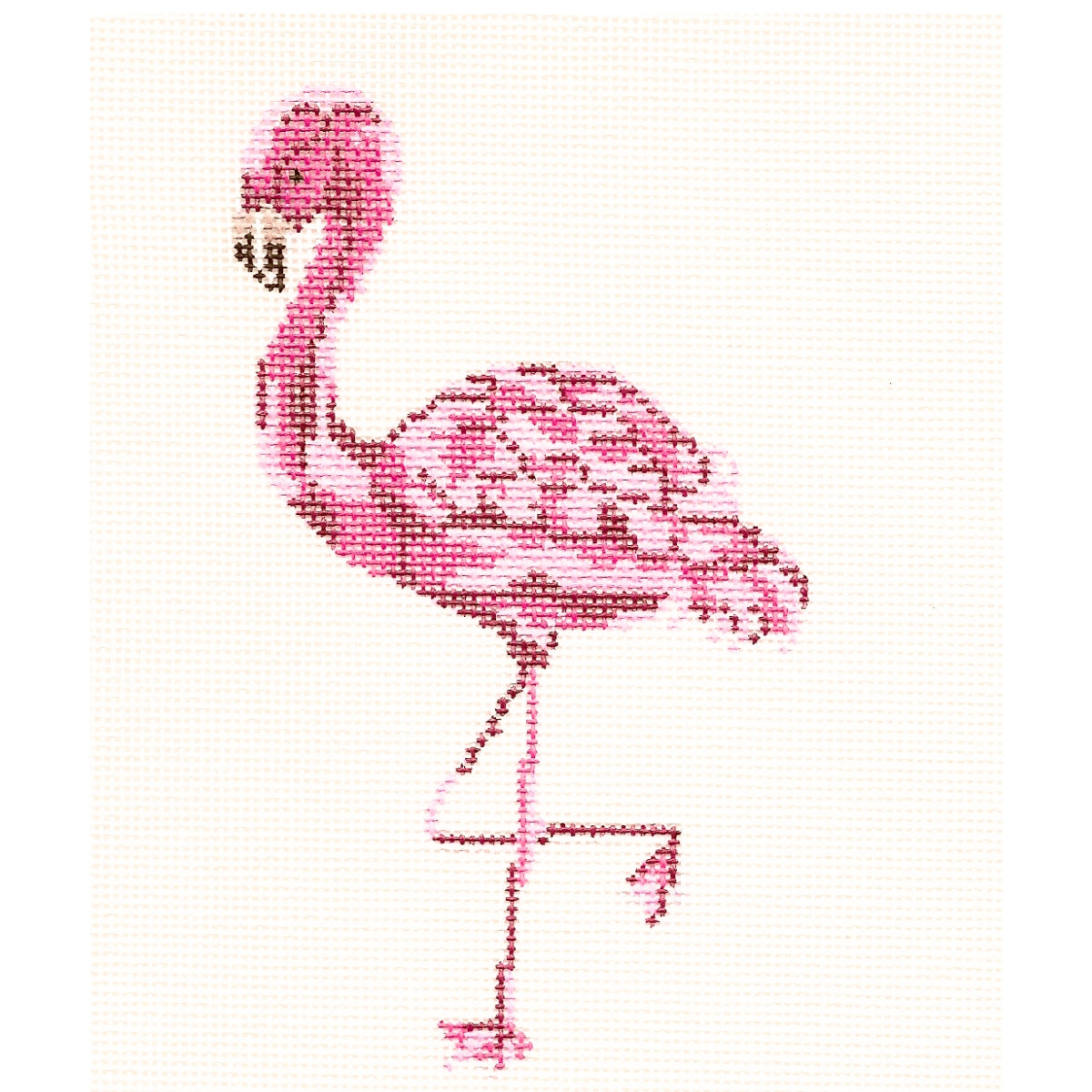 Flamingo Canvas