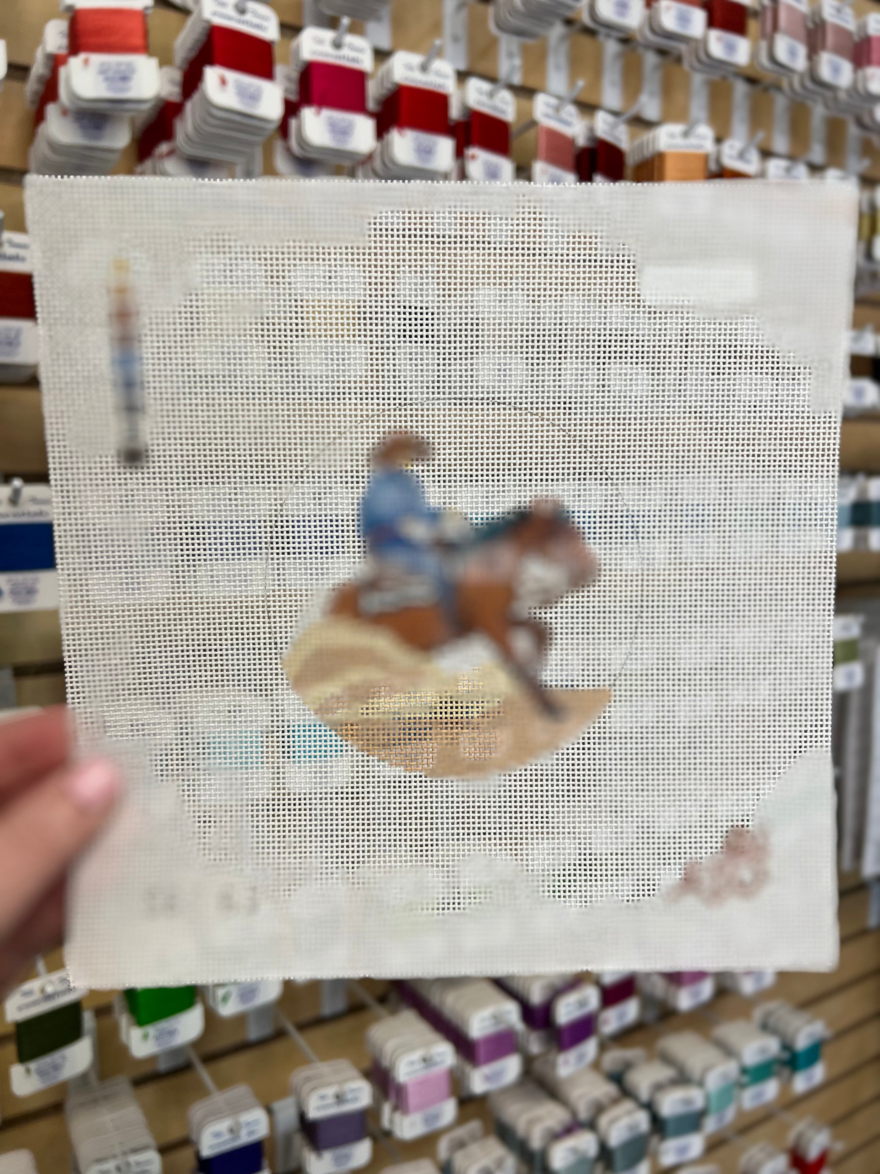 Reigning Horse Canvas