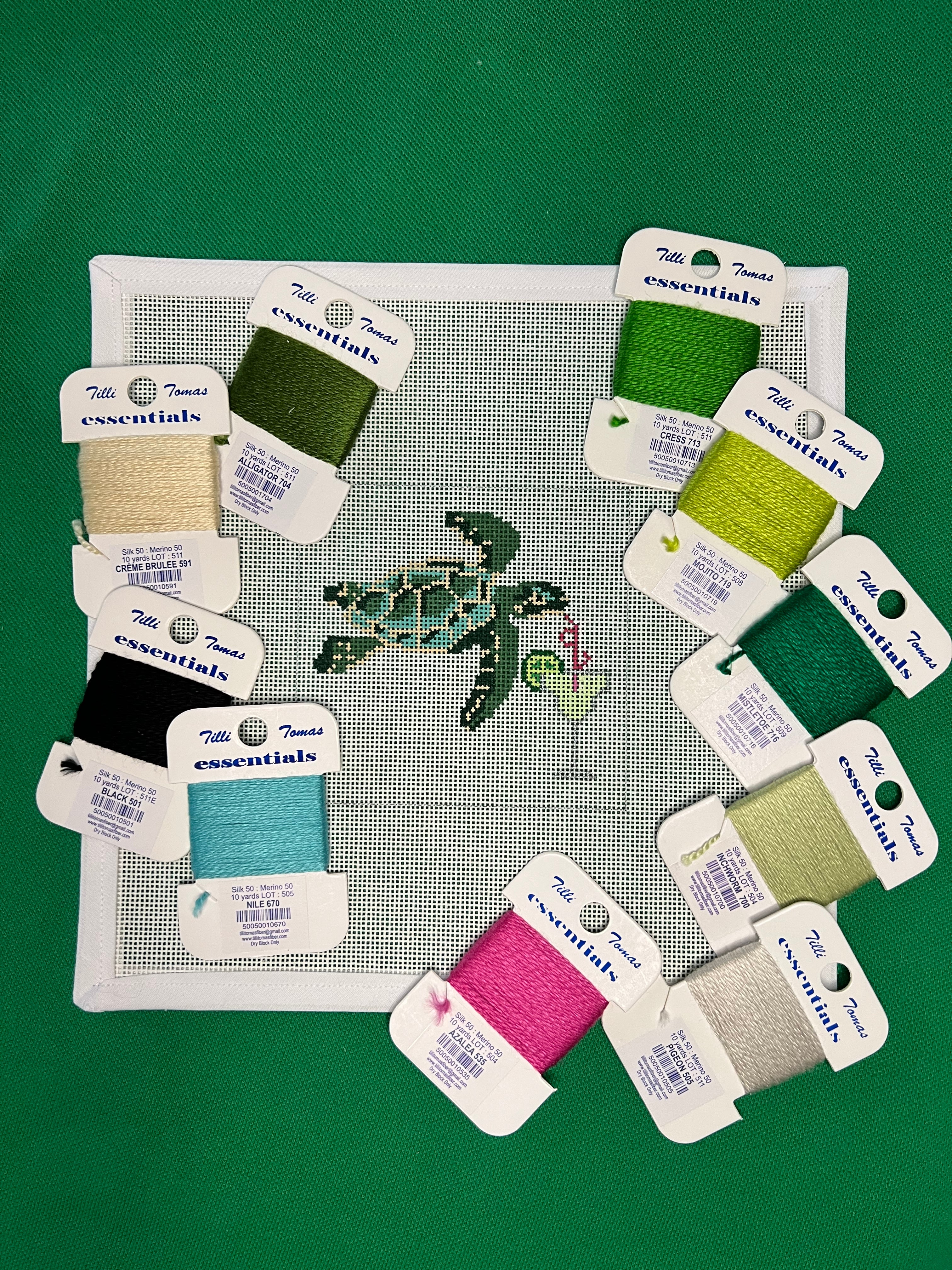 Boozy Sea Turtle & Margarita Canvas