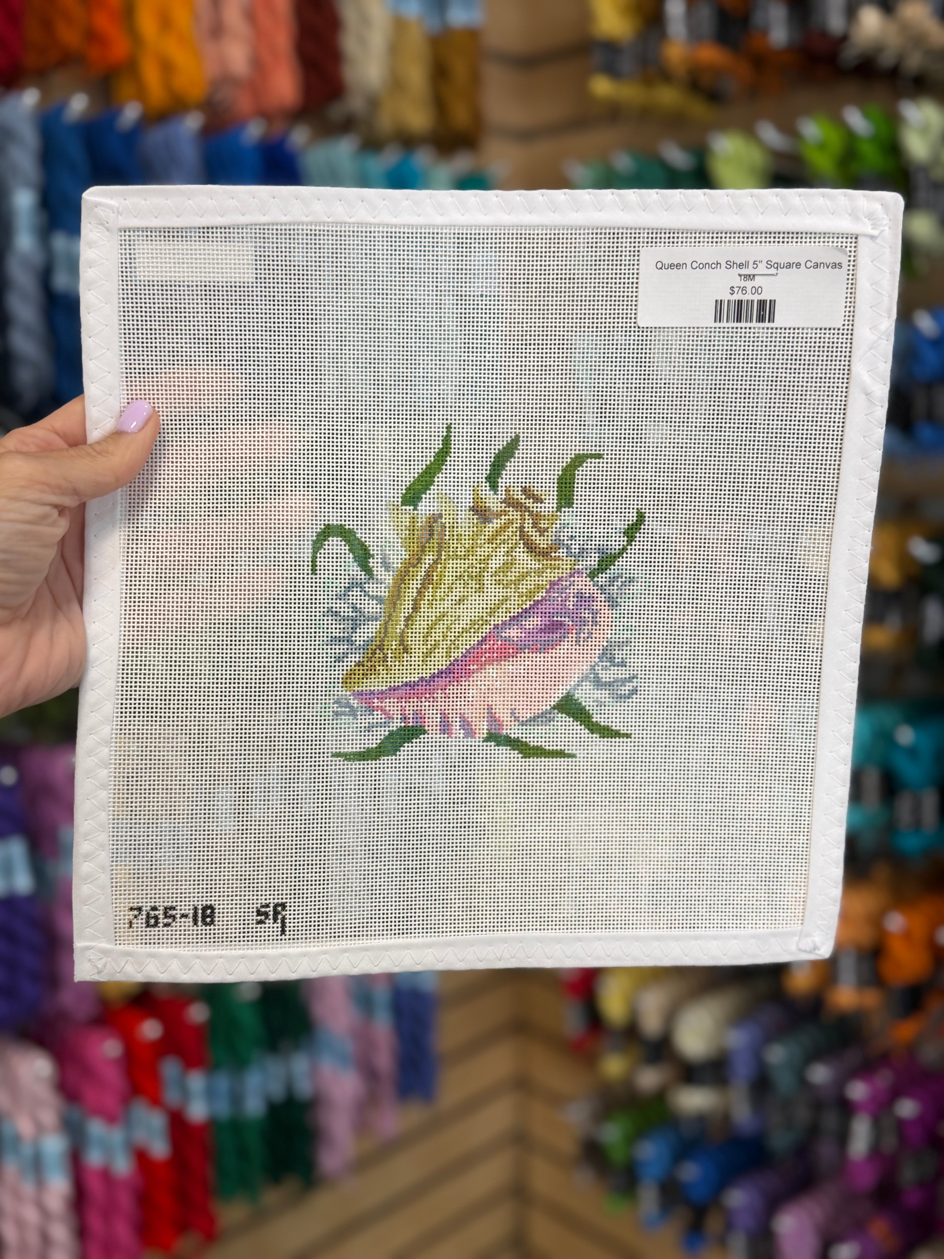 Queen Conch Shell 5" Square Canvas
