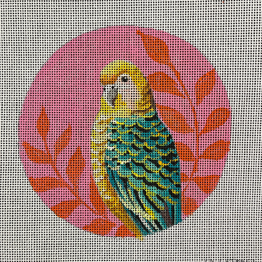 Petey the Parakeet (IN809)