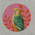Petey the Parakeet (IN809)