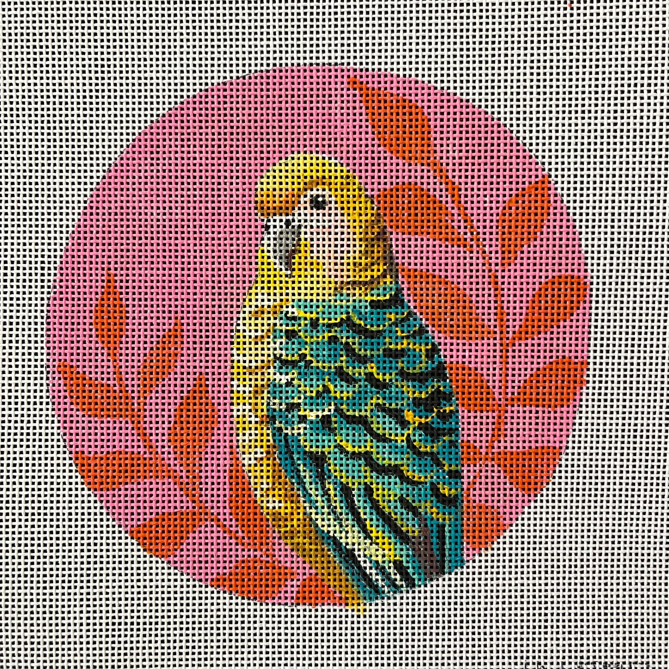 Petey the Parakeet (IN809)