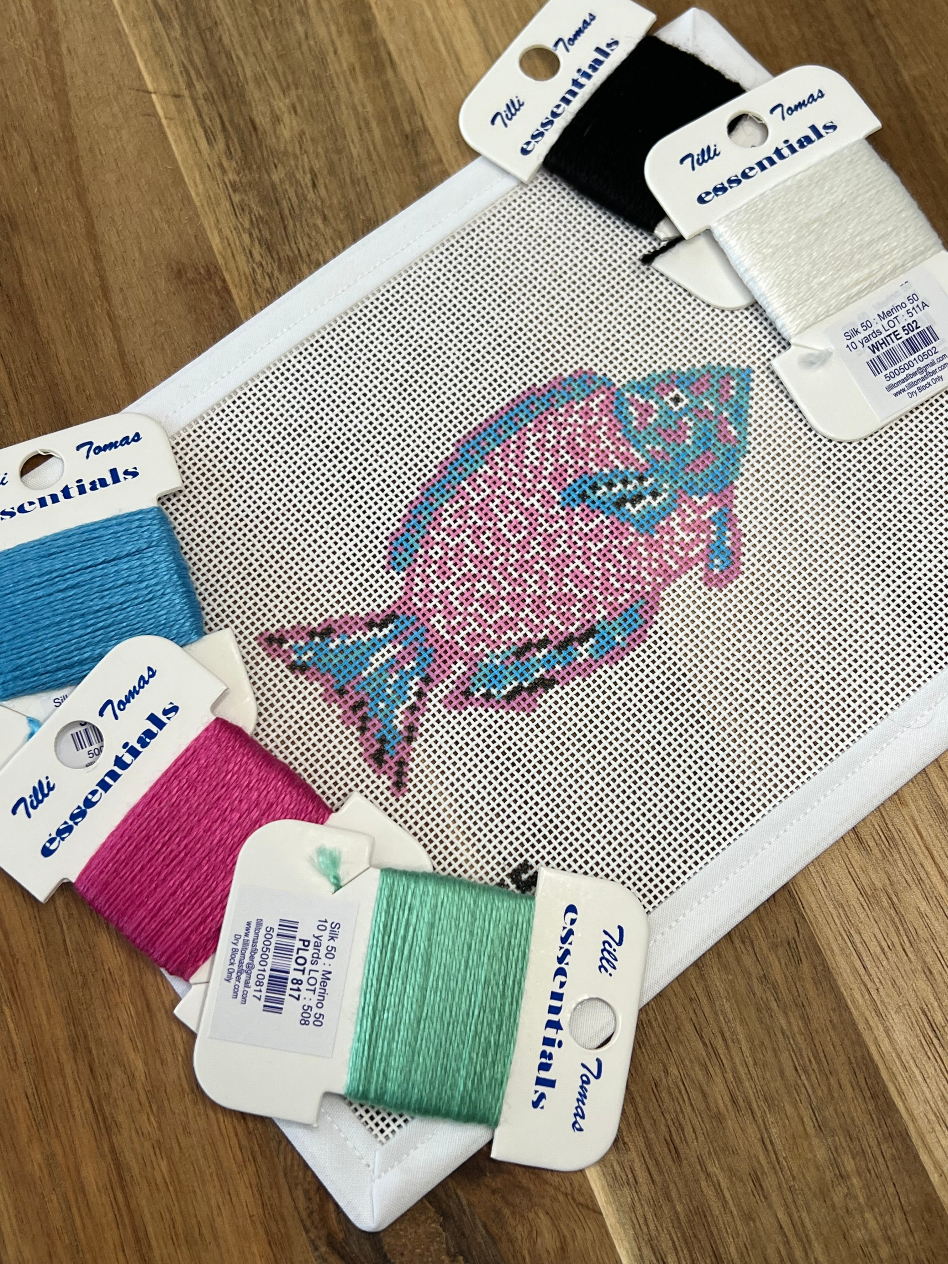 Pink and Turquoise Parrot fish Canvas