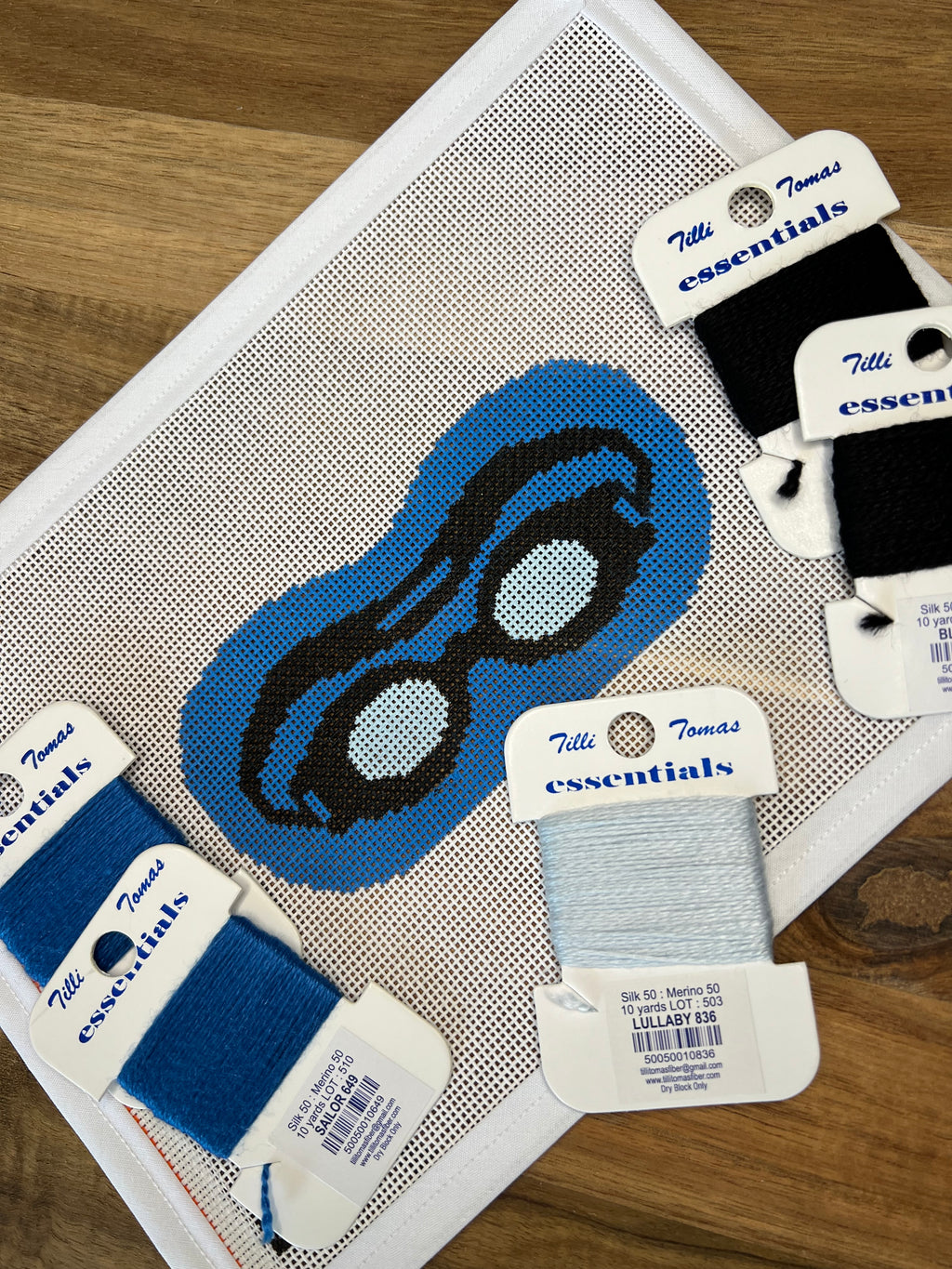 Goggles Canvas