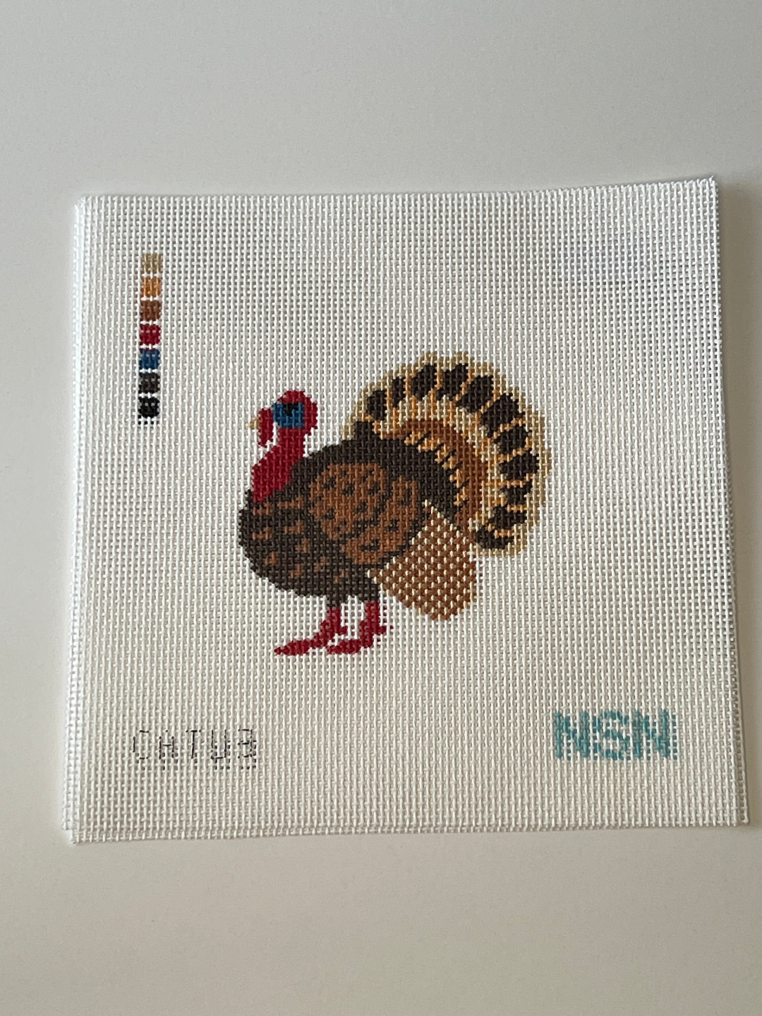 Turkey Canvas