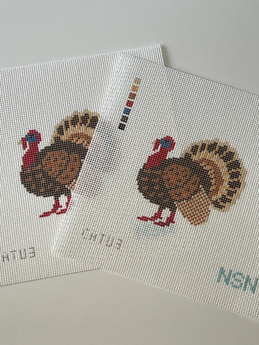 Turkey Canvas