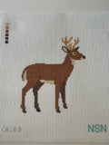 Buck Deer Canvas
