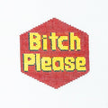 Bitch Please Canvas