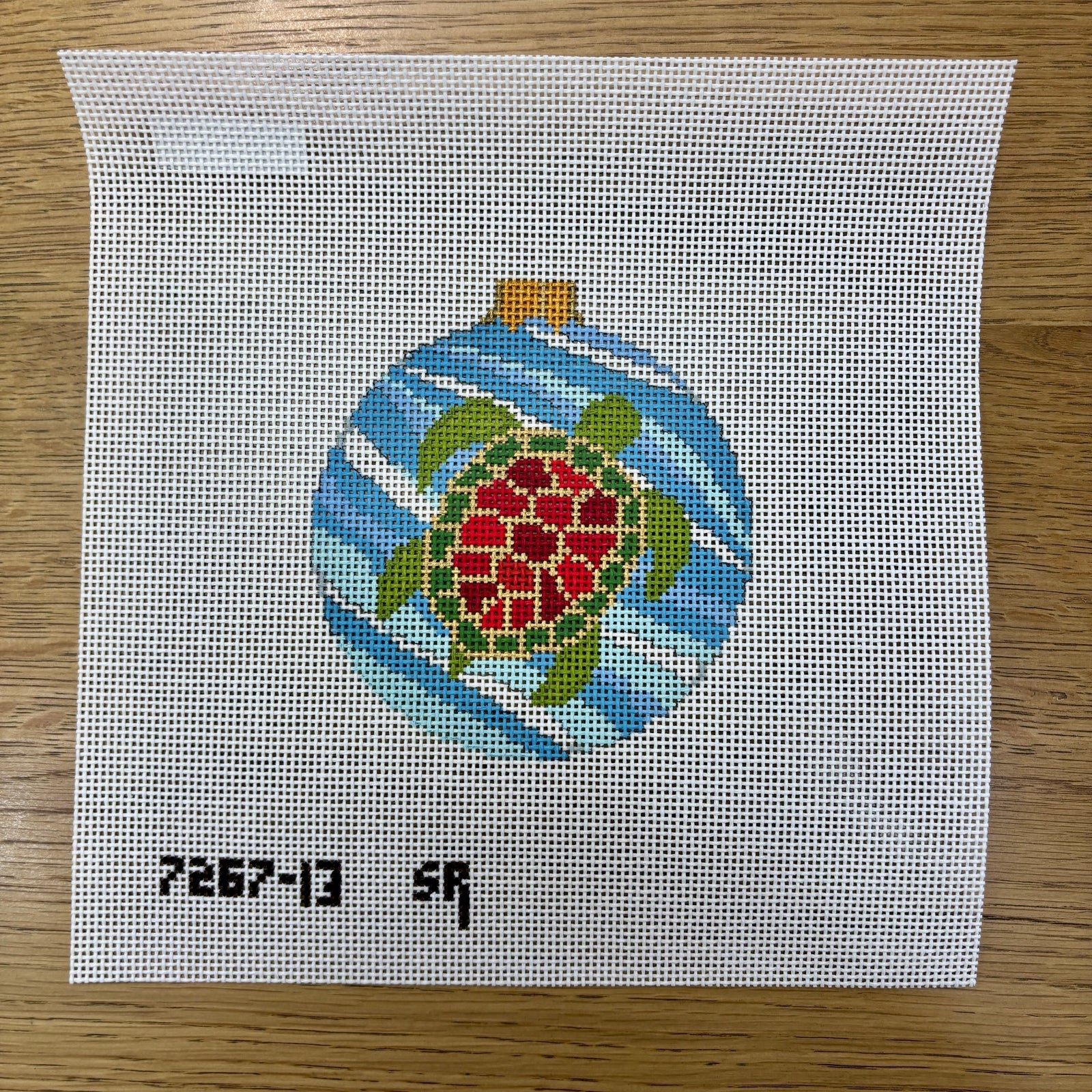 Sea Turtle Round 13 mesh Canvas