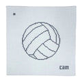 Volleyball Canvas