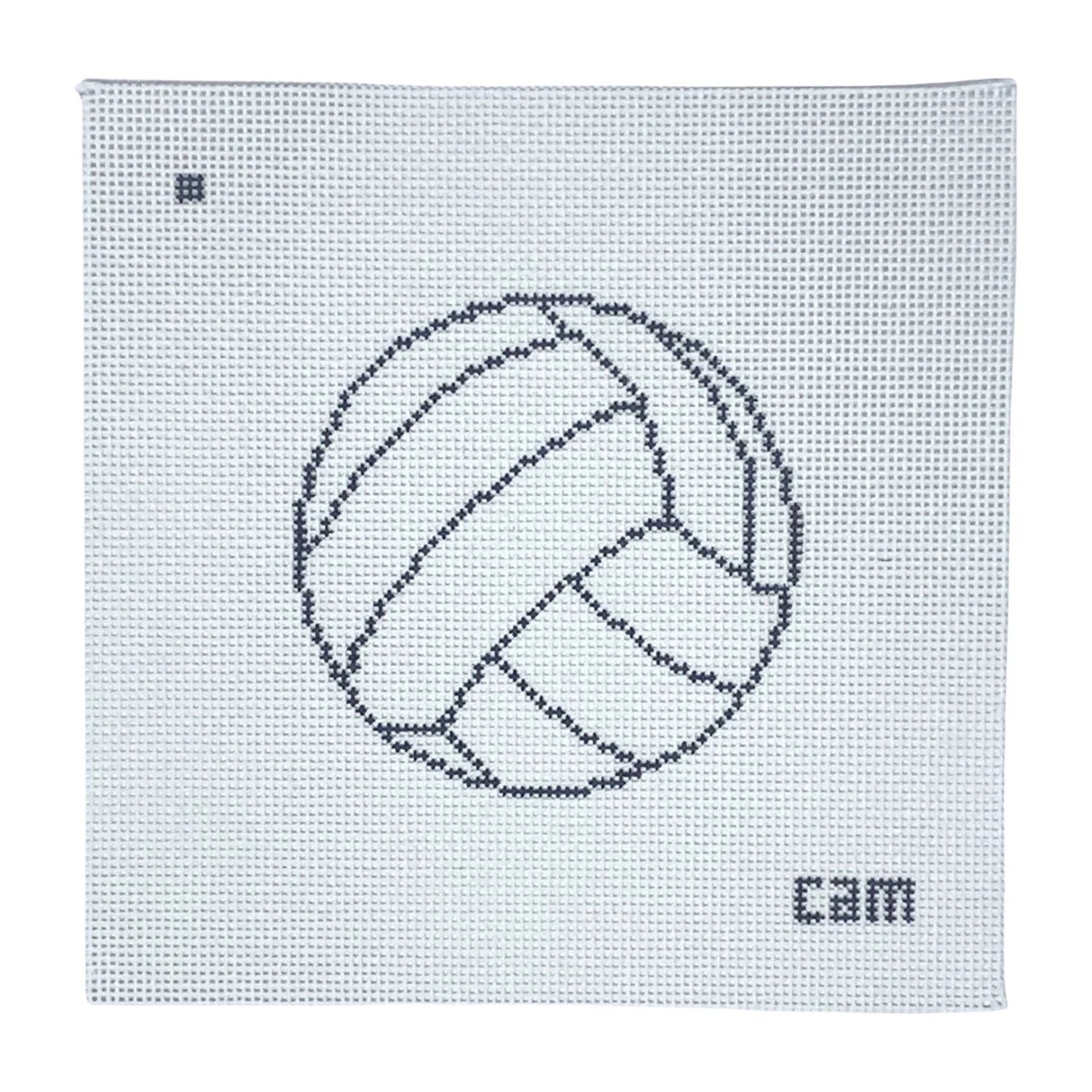 Volleyball Canvas