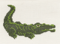 Alligator (18m) Canvas