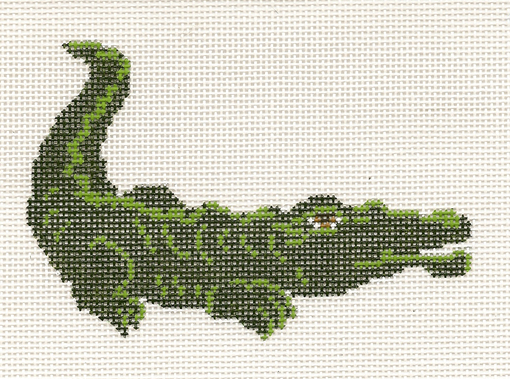 Alligator (18m) Canvas
