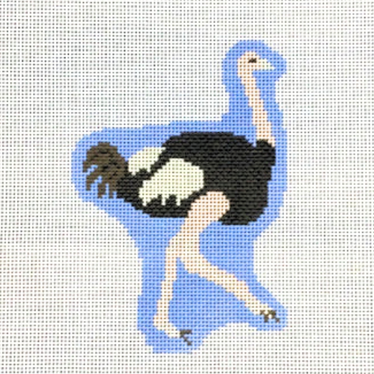 Ostrich Canvas