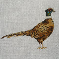 Pheasant Canvas