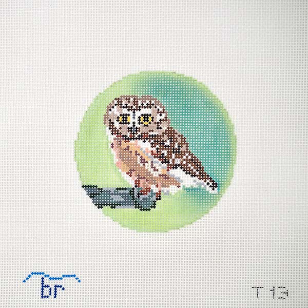 Saw Whet Owl Canvas