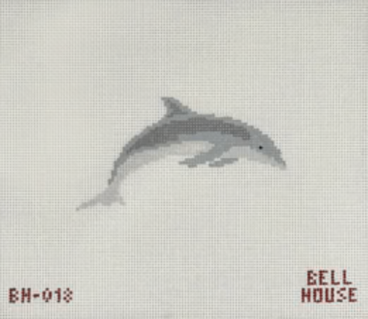Dolphin Canvas