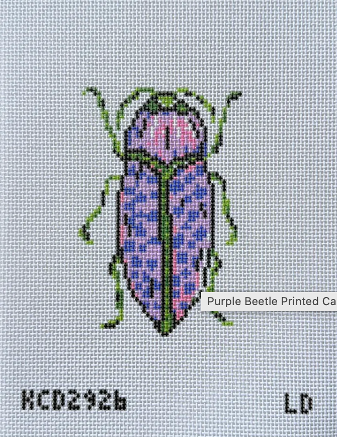 Purple Beetle Canvas