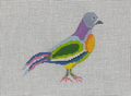 Fancy Pigeon Canvas