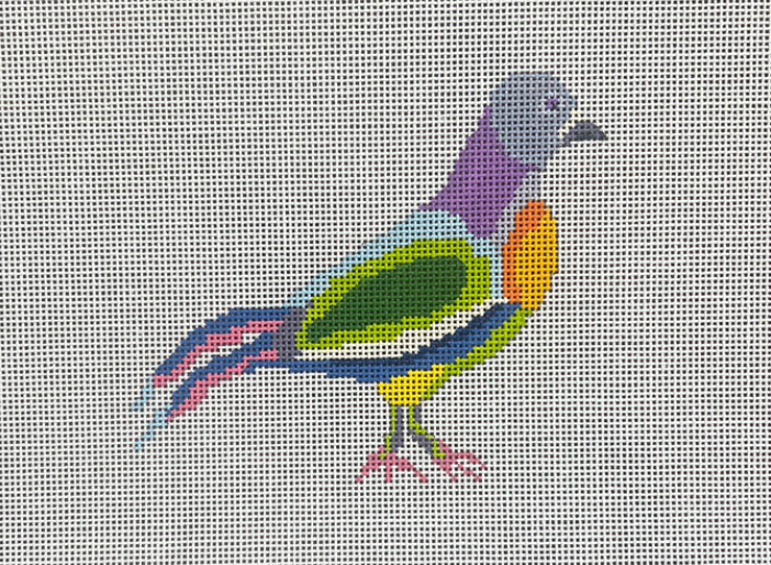 Fancy Pigeon Canvas