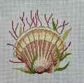 Sea Scallop 5" Square Canvas