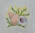 Whentle Trap Shell 5" Square Canvas