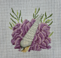 Auger Shell 5" Square Canvas