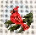 Cardinal 1.25" Mini Round Canvas