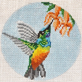 Golden Bellied Starfrontlet Hummingbird 4" Round Canvas