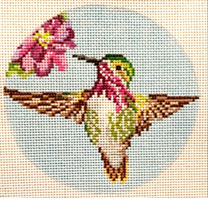 Calliope Hummingbird 4" Round Canvas