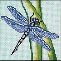 Dragonfly 4" Square Canvas
