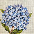 Hydrangea 5" Square Canvas