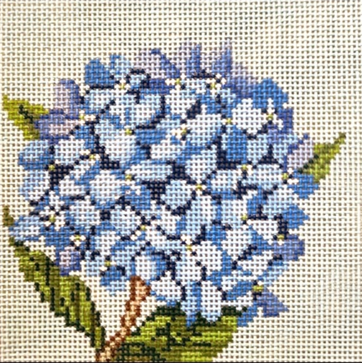Hydrangea 5" Square Canvas