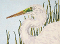 Great Egret Head Canvas