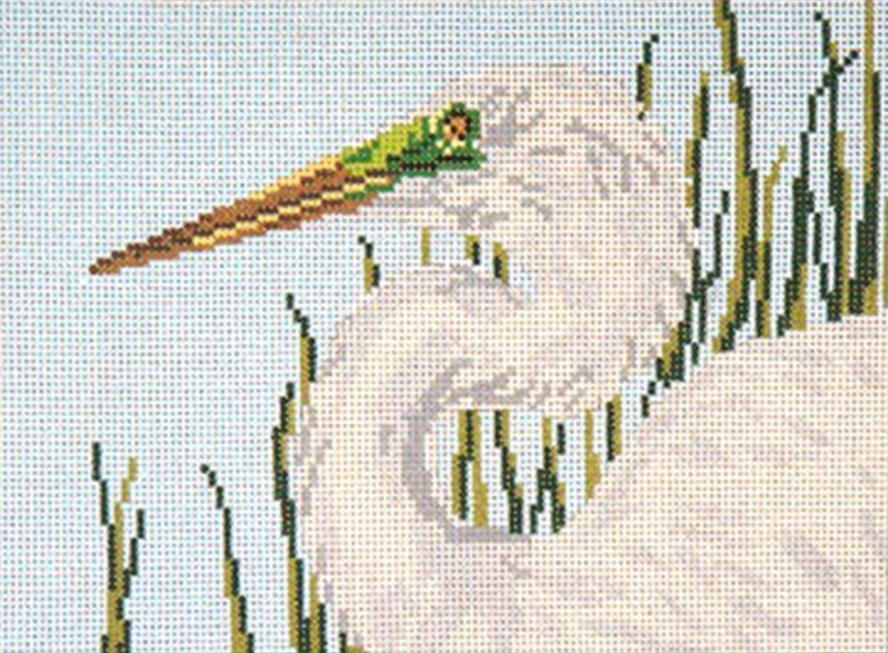 Great Egret Head Canvas