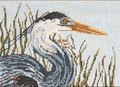 Great Heron Head Canvas