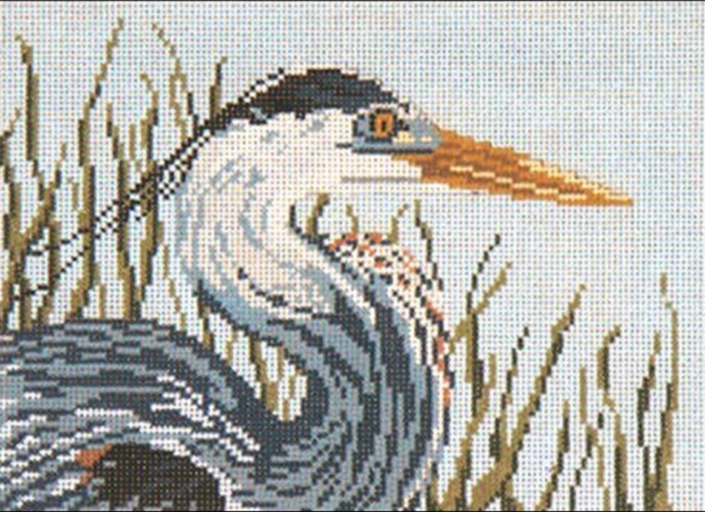 Great Heron Head Canvas